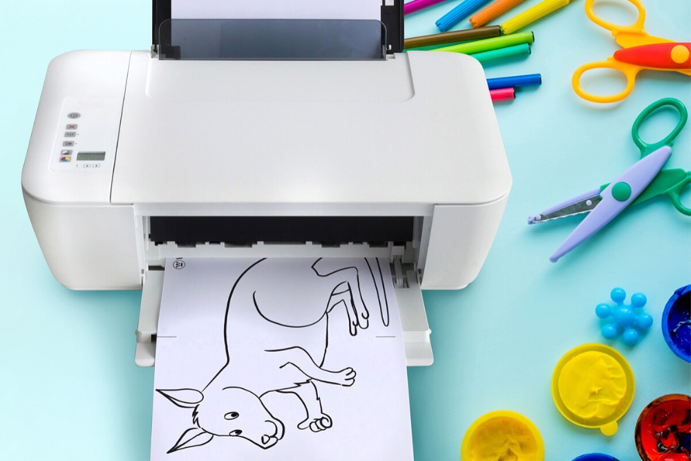 Step 1: Download and print the Australian animals.